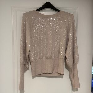 Express Sequin Beige Sweater